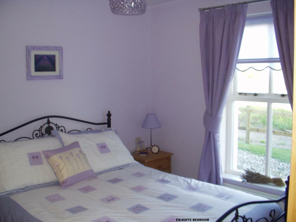 Beech House Villa Portballintrae Ngoại thất bức ảnh